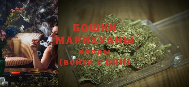 мега как войти  наркотики  Дигора  Конопля OG Kush 